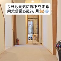 走り出す信長くん