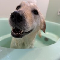 お風呂