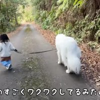2歳のろのちゃんとお散歩
