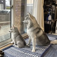 お父さん
