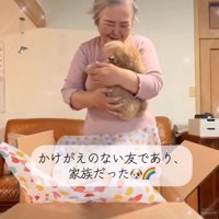 ぬいぐるみを見つめるおばあさん