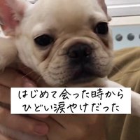 涙やけがひどくて…