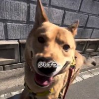 笑顔のあい君