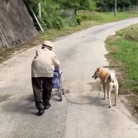 思いやりあふれる光景にホッコリ