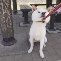 再び拒否モードに！