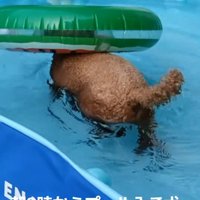 朝8時からプールを満喫！
