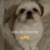 ちろ君をねぎらうママ