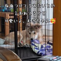 おサルさんのようになりました