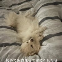信頼を寄せてくれるように…