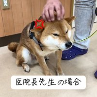 唸るごんちゃん