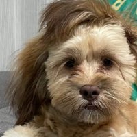 長い耳がひっくり返ったり…