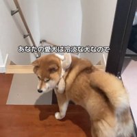 あっさりリビングへ
