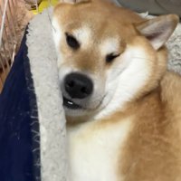 セルフコントロールって大切だよね