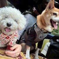 笑顔で毎日を楽しんでるよ