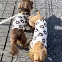 異変に気づいたくったん