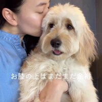 女性の膝の上で笑顔を浮かべる子犬