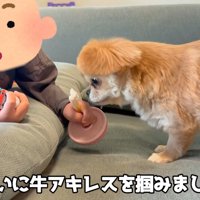 男の子がオヤツを掴むと…
