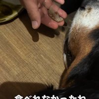 食べられなくなって…