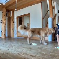 知られざる子どもたちの姿