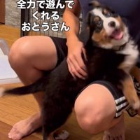お父さんと遊ぶ犬