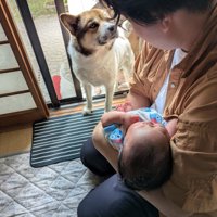 過保護