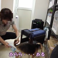 チェックしたら…出ている！