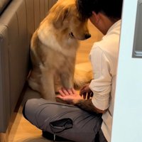 無視するムーンちゃん