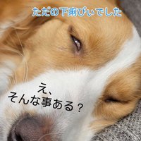予想外の嬉しいオチ（笑）