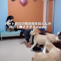 あっという間にターゲットに！
