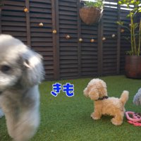 立ち去ってしまいました！