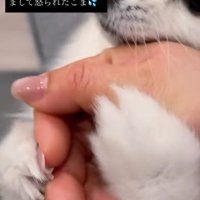 ぎゅっとしがみついて…
