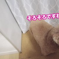 「そろそろかな！？」