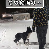 雪の中でトレーニング開始♪