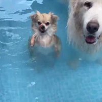 「普通に立てた」