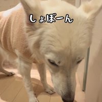 れお君の表情の変化3