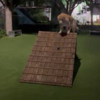 コロコロ