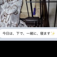 寝床とメッセージ画面