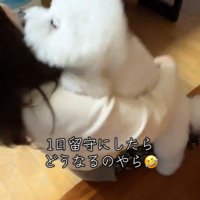 RAUくんの熱烈大歓迎7