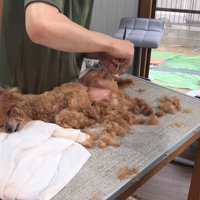 リラックスしてウトウト…♪