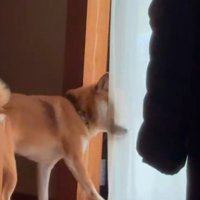 リクくんにハプニング発生7