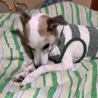 不安でたまらない…