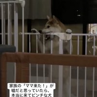 絶賛イタズラ中。