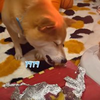 「できたてホカホカで美味しい～♪」