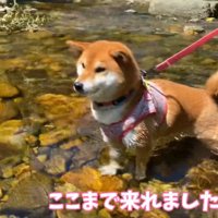 今度こそ泳ぐ…？