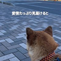 最後まで見送ると…