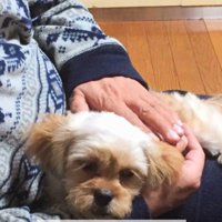 お父さんのことが大好き