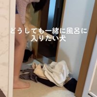 犬の前足を抱えて脱衣所を出ようとする家族
