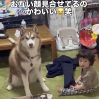 ちゃんと聞いてます