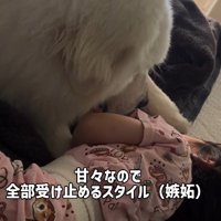 眠そうな娘さんを見ると…