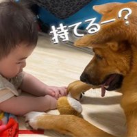 そらちゃんと赤ちゃん5